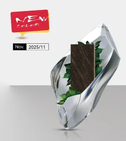 New products in Nov