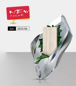 New products in Jun